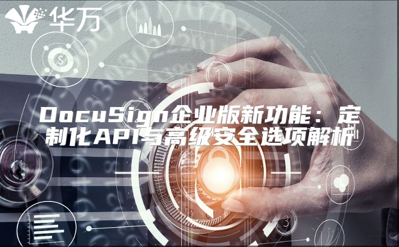 DocuSign企业版新功能：定制化API与高级安全选项解析