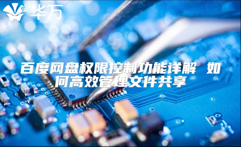 百度网盘权限控制功能详解 如何高效管理文件共享