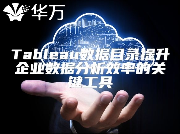 Tableau数据目录提升企业数据分析效率的关键工具