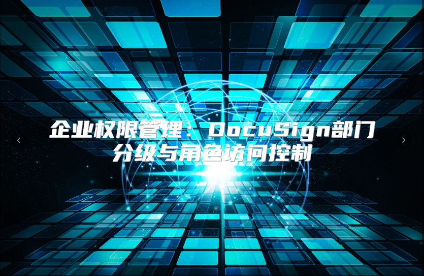 企业权限管理：DocuSign部门分级与角色访问控制