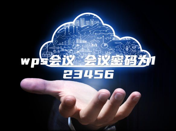 wps会议 会议密码为123456