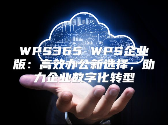 WPS365 WPS企业版：高效办公新选择，助力企业数字化转型