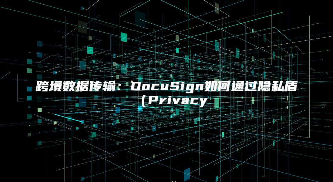 跨境数据传输：DocuSign如何通过隐私盾（Privacy