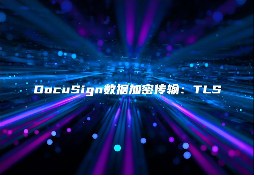 DocuSign数据加密传输：TLS