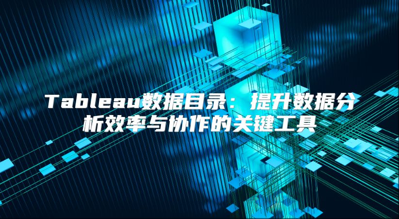Tableau数据目录：提升数据分析效率与协作的关键工具