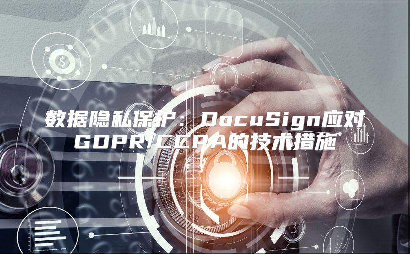 数据隐私保护：DocuSign应对GDPR/CCPA的技术措施