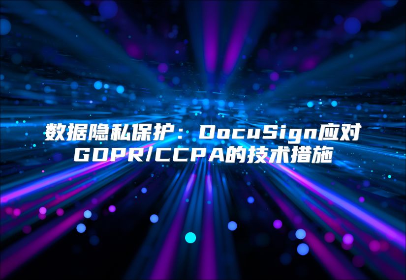 数据隐私保护：DocuSign应对GDPR/CCPA的技术措施