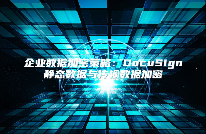 企业数据加密策略：DocuSign静态数据与传输数据加密