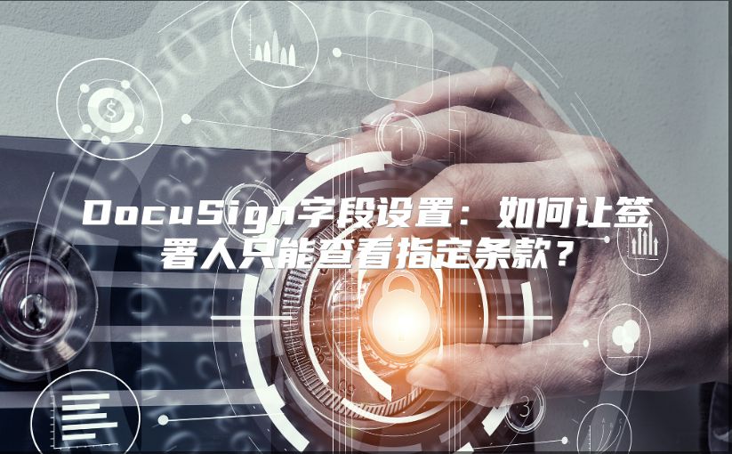 DocuSign字段设置：如何让签署人只能查看指定条款？
