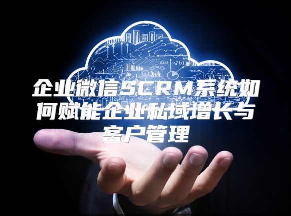 企业微信SCRM系统如何赋能企业私域增长与客户管理