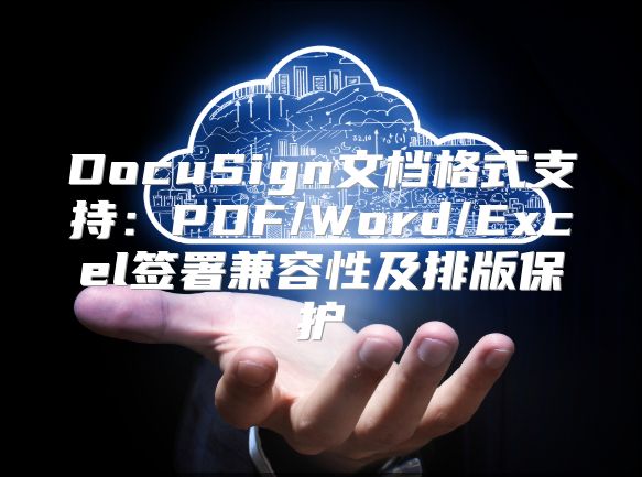 DocuSign文档格式支持：PDF/Word/Excel签署兼容性及排版保护