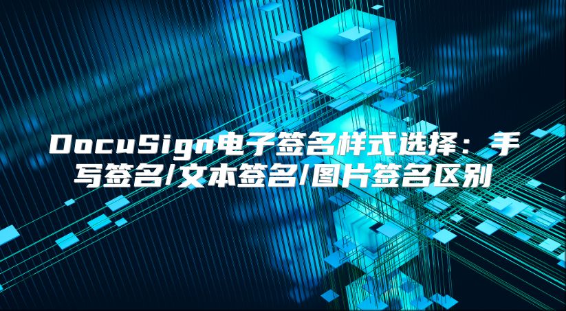 DocuSign电子签名样式选择：手写签名/文本签名/图片签名区别