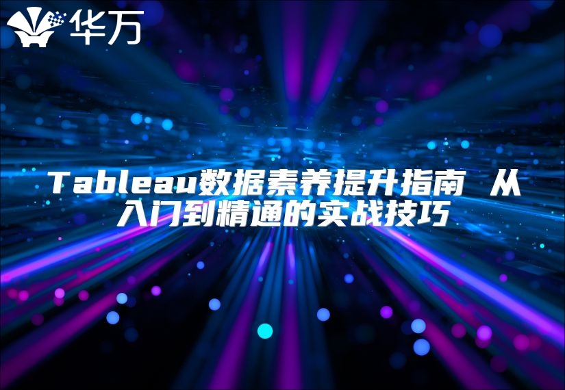 Tableau数据素养提升指南 从入门到精通的实战技巧