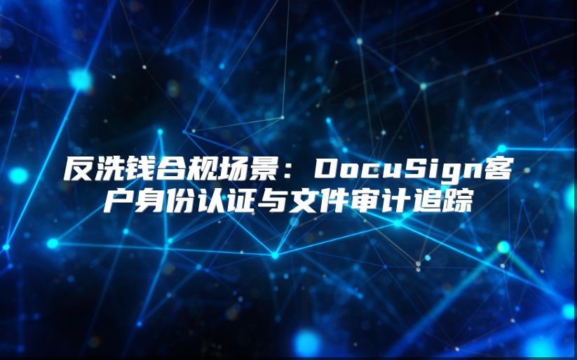 反洗钱合规场景：DocuSign客户身份认证与文件审计追踪