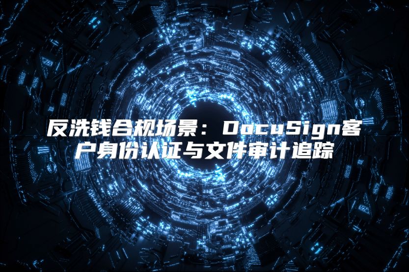 反洗钱合规场景：DocuSign客户身份认证与文件审计追踪