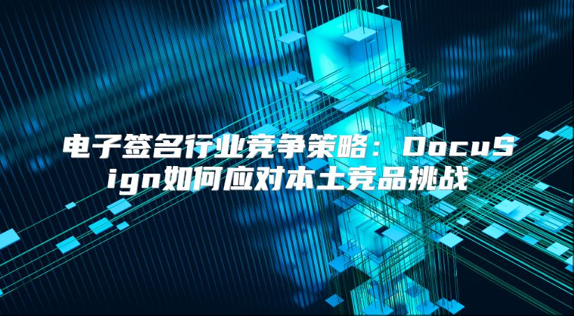 电子签名行业竞争策略：DocuSign如何应对本土竞品挑战