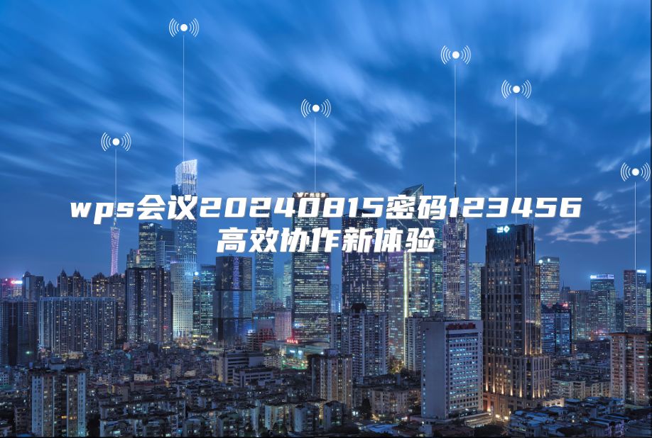 wps会议20240815密码123456高效协作新体验