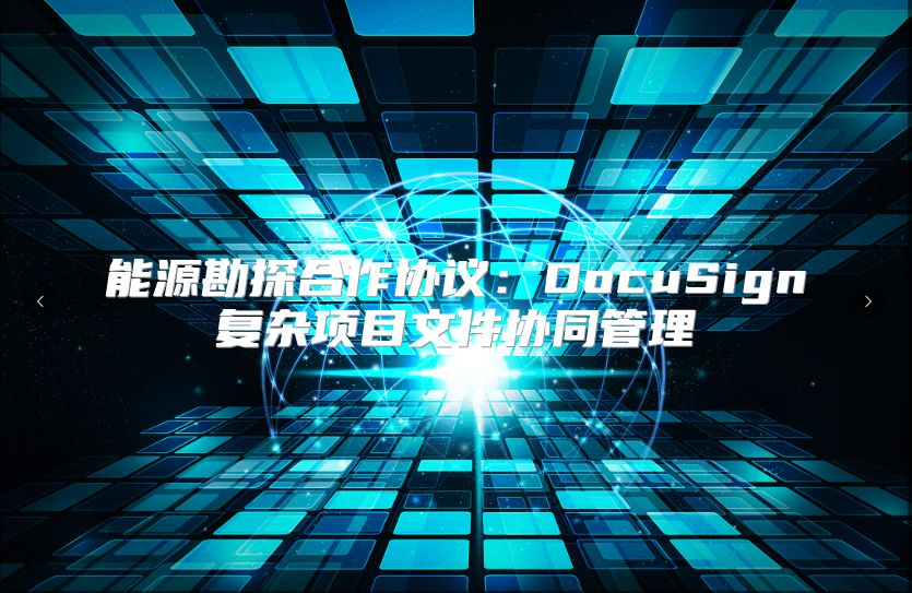 能源勘探合作协议：DocuSign复杂项目文件协同管理