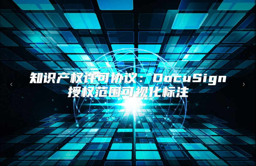 知识产权许可协议：DocuSign授权范围可视化标注