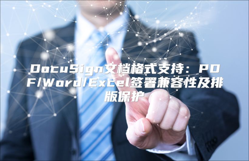 DocuSign文档格式支持：PDF/Word/Excel签署兼容性及排版保护