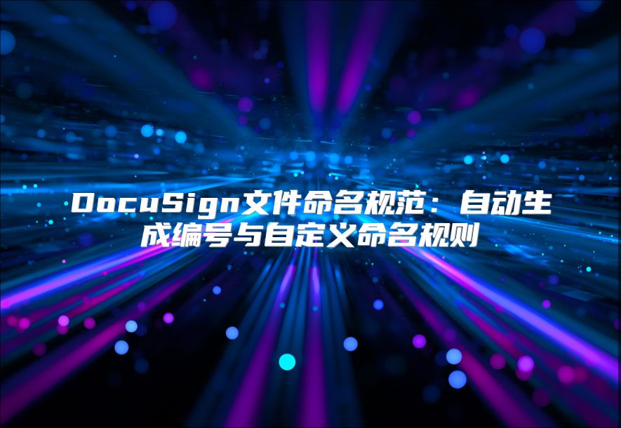 DocuSign文件命名规范：自动生成编号与自定义命名规则